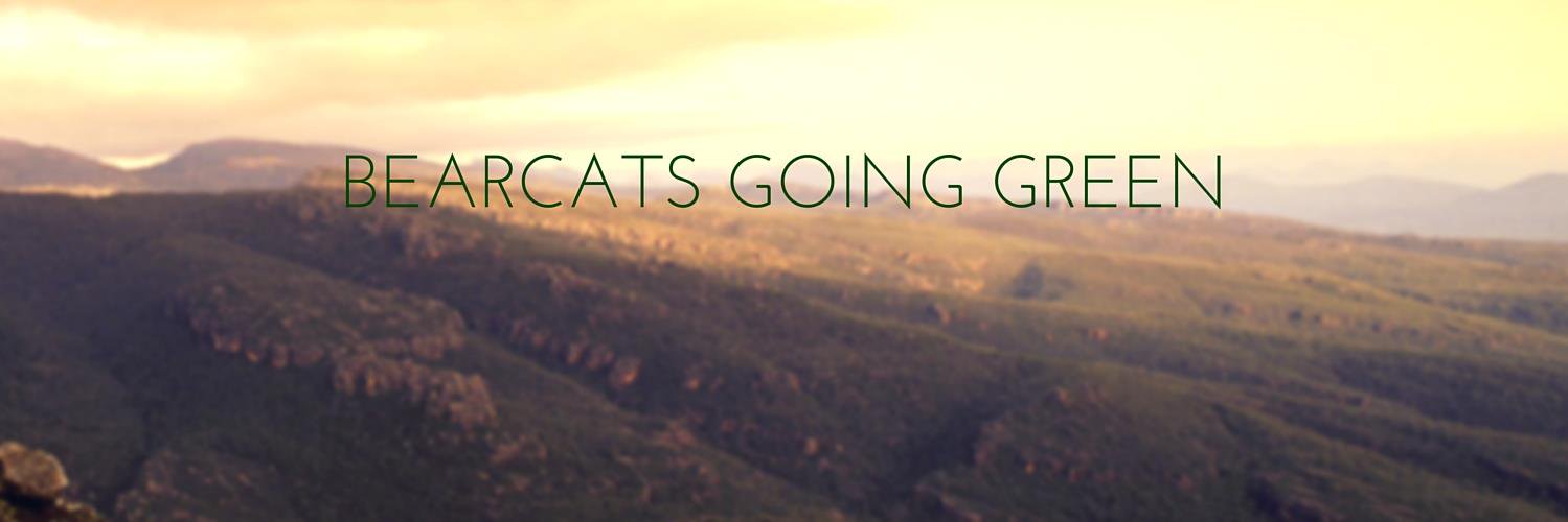 BearcatGREEN's profile banner image
