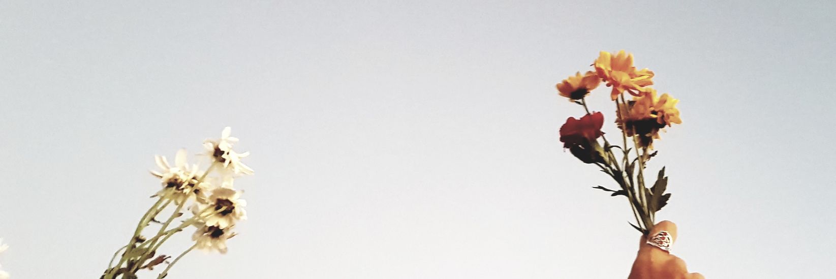 beleube's profile banner image