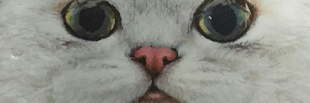 lenteracemara's profile banner image