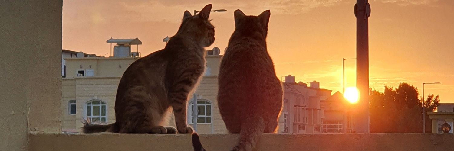jacthehat's profile banner image