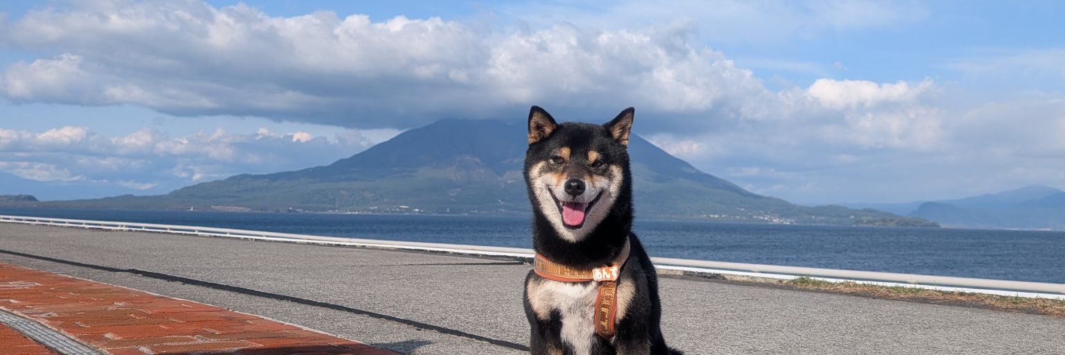 anzu_anzu0803's profile banner image