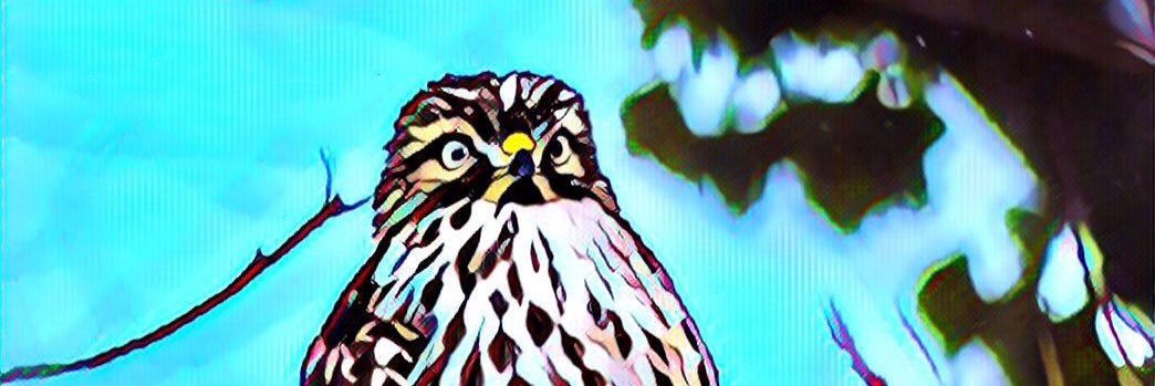 nicnashty's profile banner image