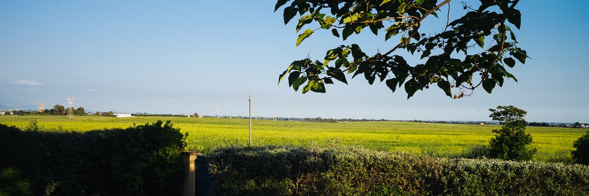 cturanli's profile banner image