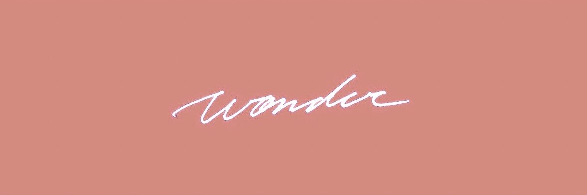 fallingonmendes's profile banner image