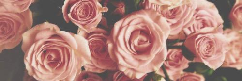 jess_whit's profile banner image