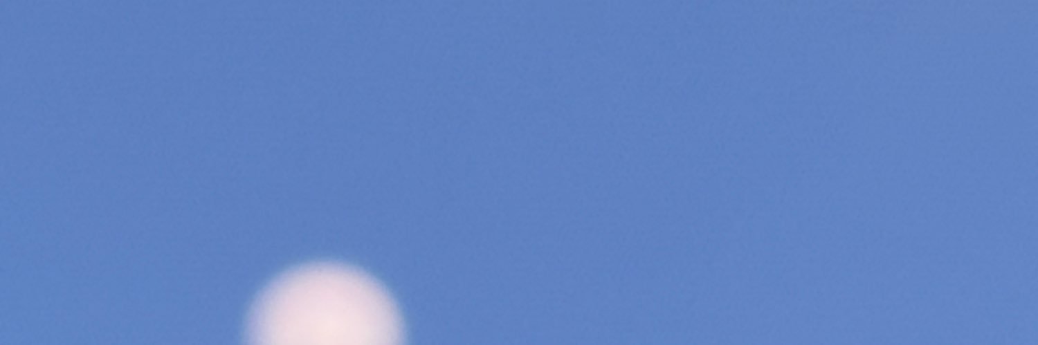 . 🦢 banner
