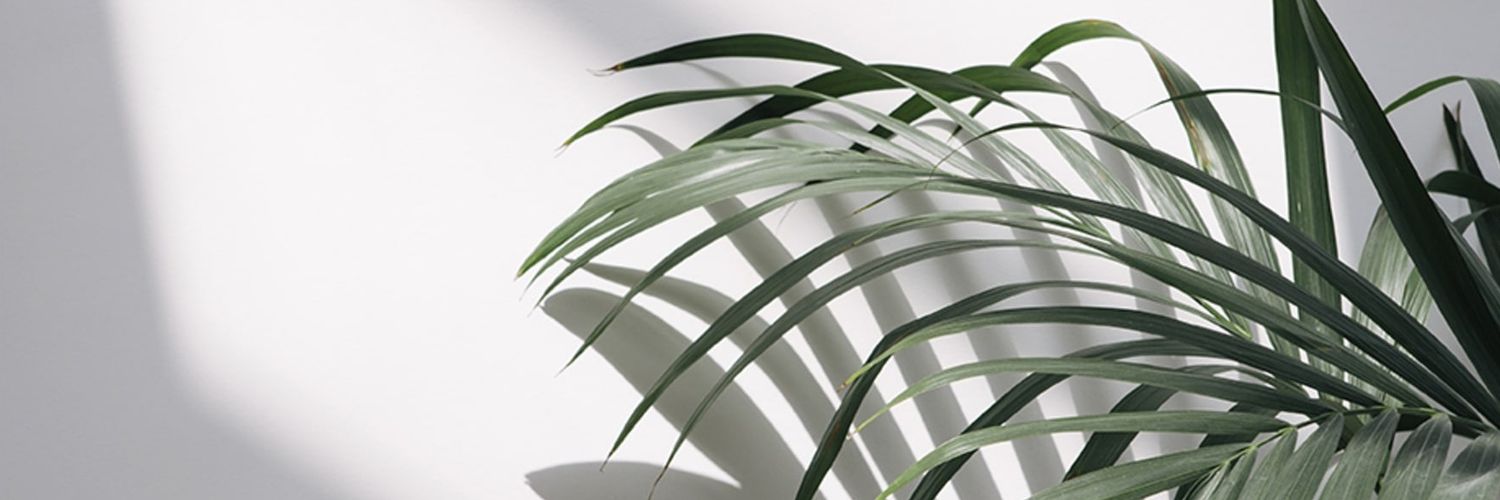 eb_rky's profile banner image
