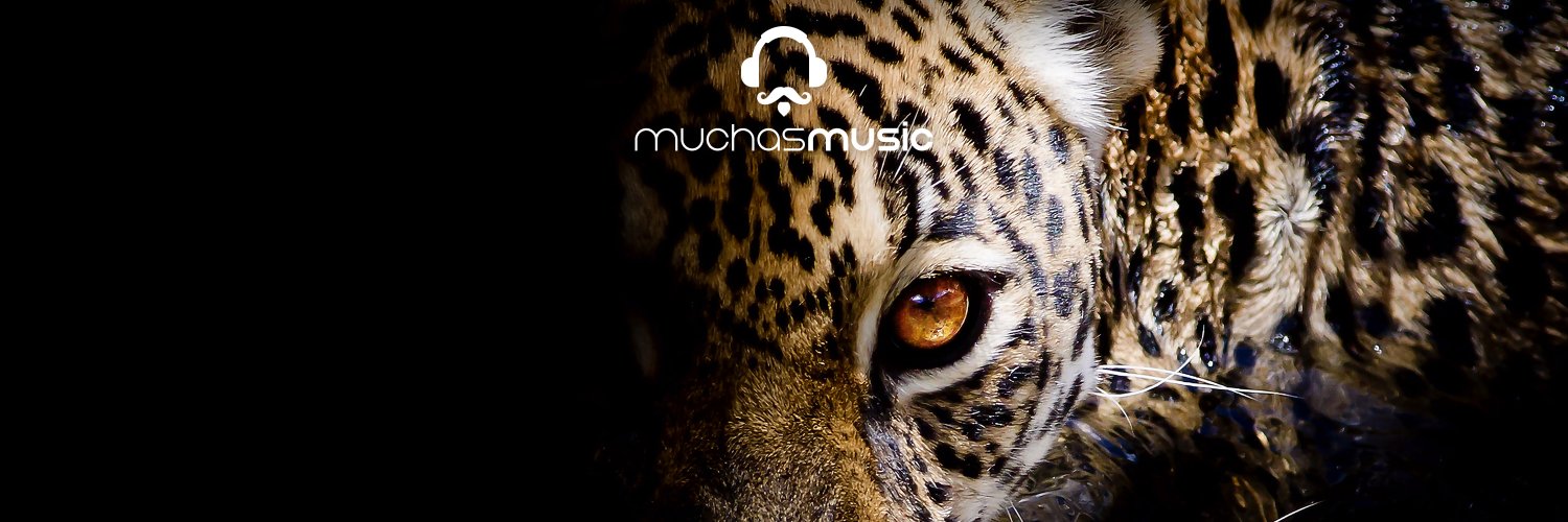 muchasmusic's profile banner image