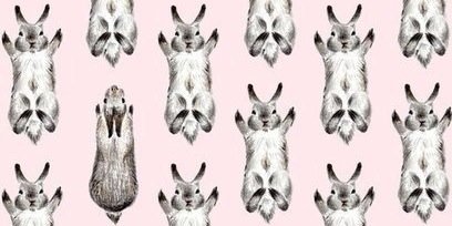 Bunny_go's profile banner image