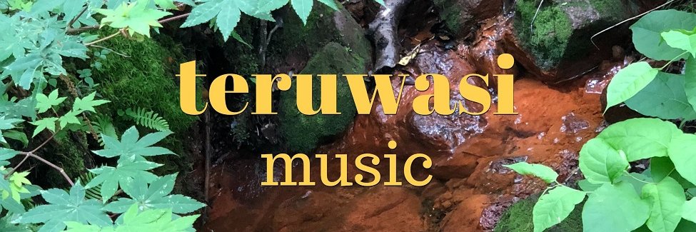 teruwasi's profile banner image