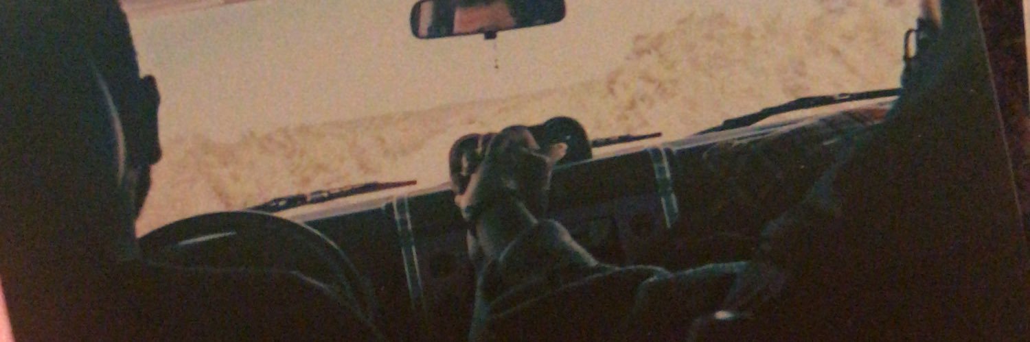 regivv's profile banner image
