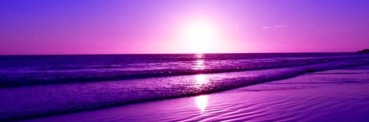 This ain't the oscars, is it? 🐝 banner