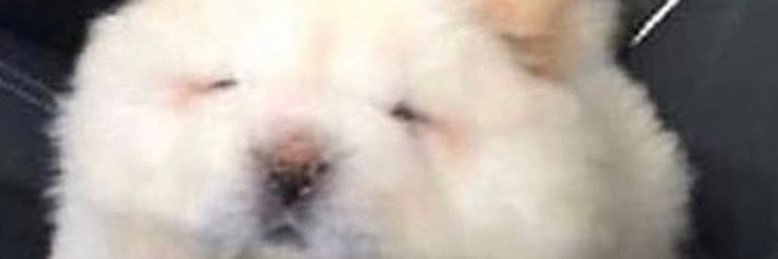 keops_gamer's profile banner image
