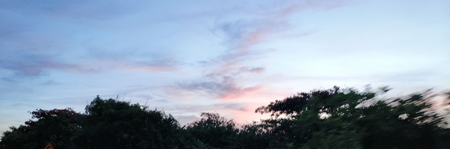 hanvu85's profile banner image