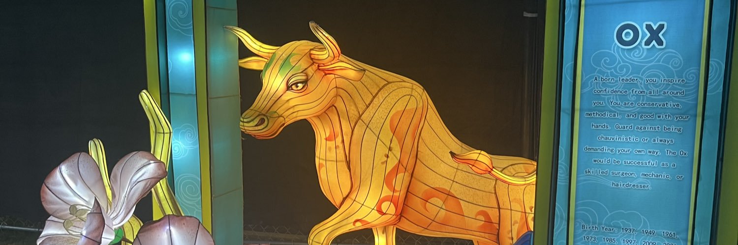 AlexisSiani_'s profile banner image