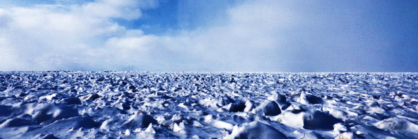 Michael S. Ryan banner