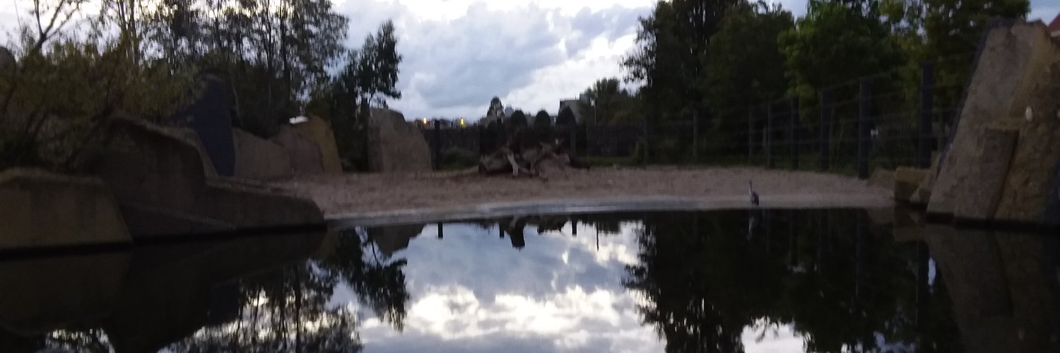 Els van Staveren banner