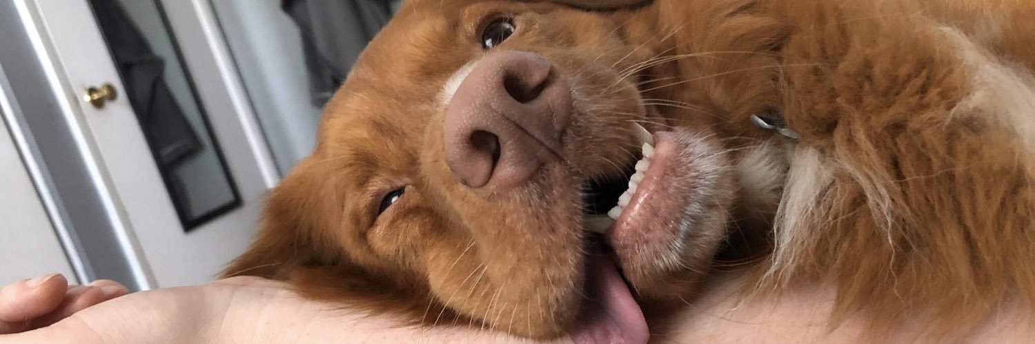 TweetsFromJenna's profile banner image