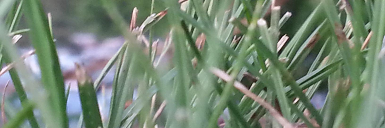 bmom149's profile banner image