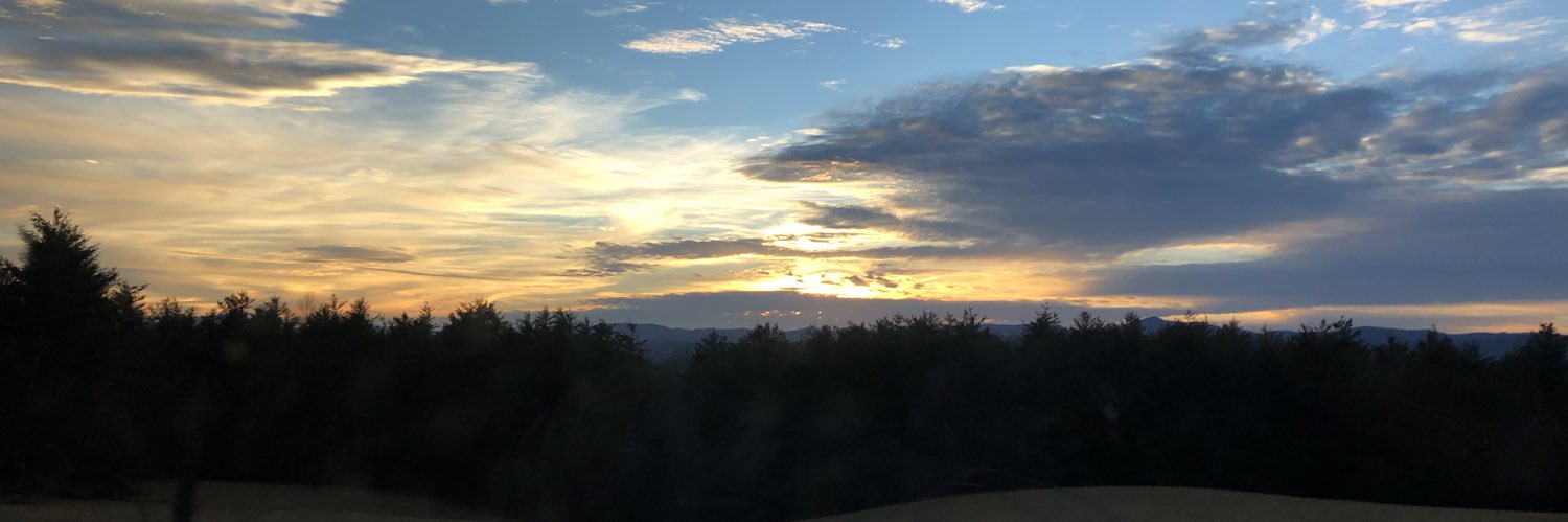 BrookePhillips4's profile banner image
