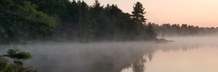 JJFlavius's profile banner image