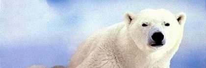 Rocma_kbot's profile banner image