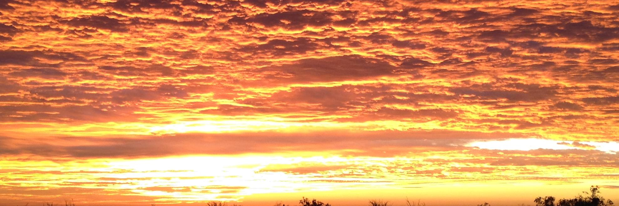 Peter Guilfoyle banner