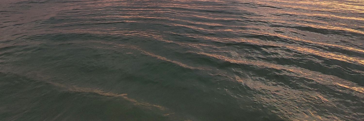 CluvrChamverlin's profile banner image