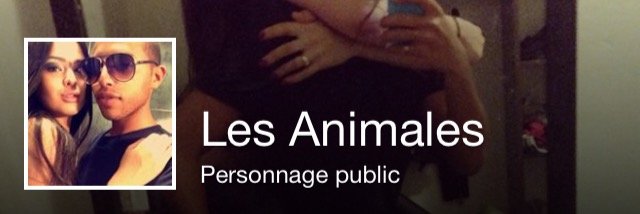Mehdi_Animale's profile banner image