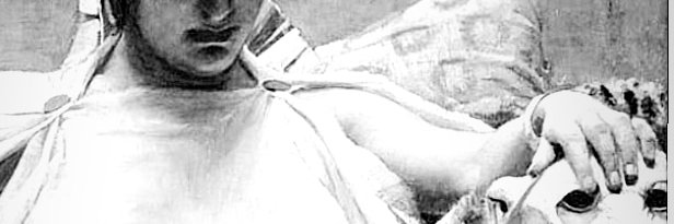FusteLuLu's profile banner image