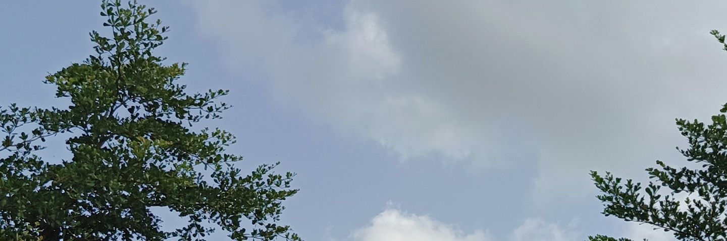 aaabufa's profile banner image