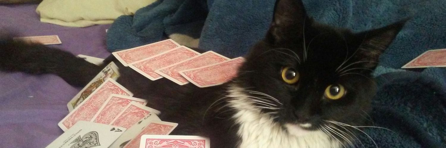Wizardmousy's profile banner image