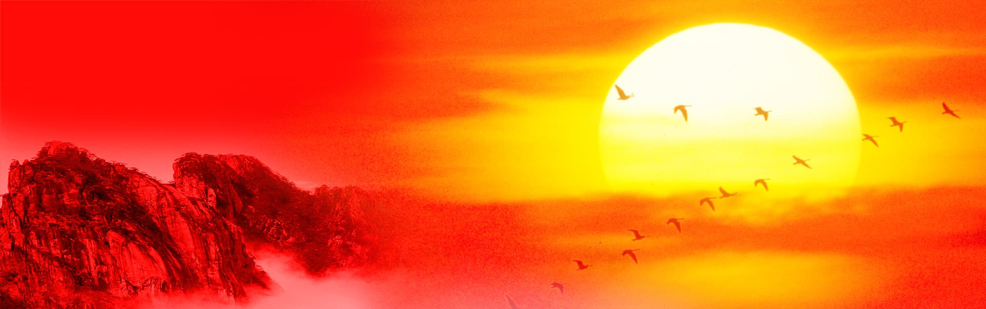 pethereumJo's profile banner image