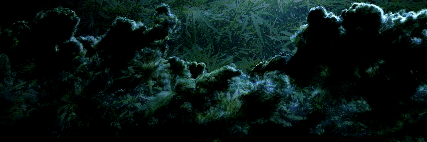 GoodGreenFeelin's profile banner image
