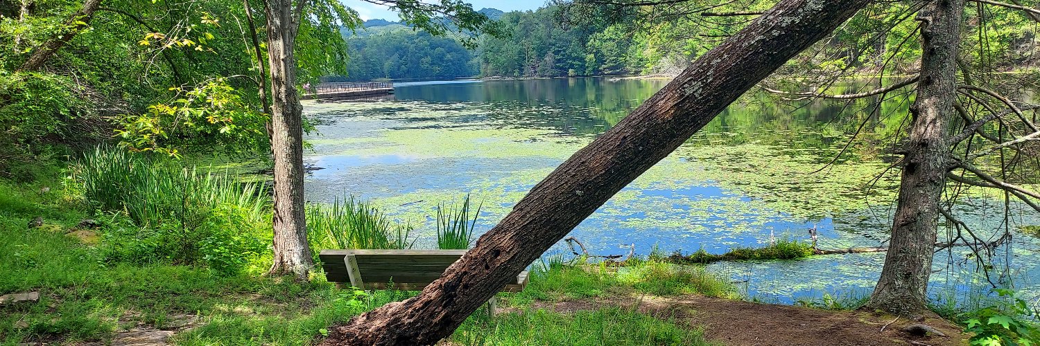 Hoagy2424's profile banner image