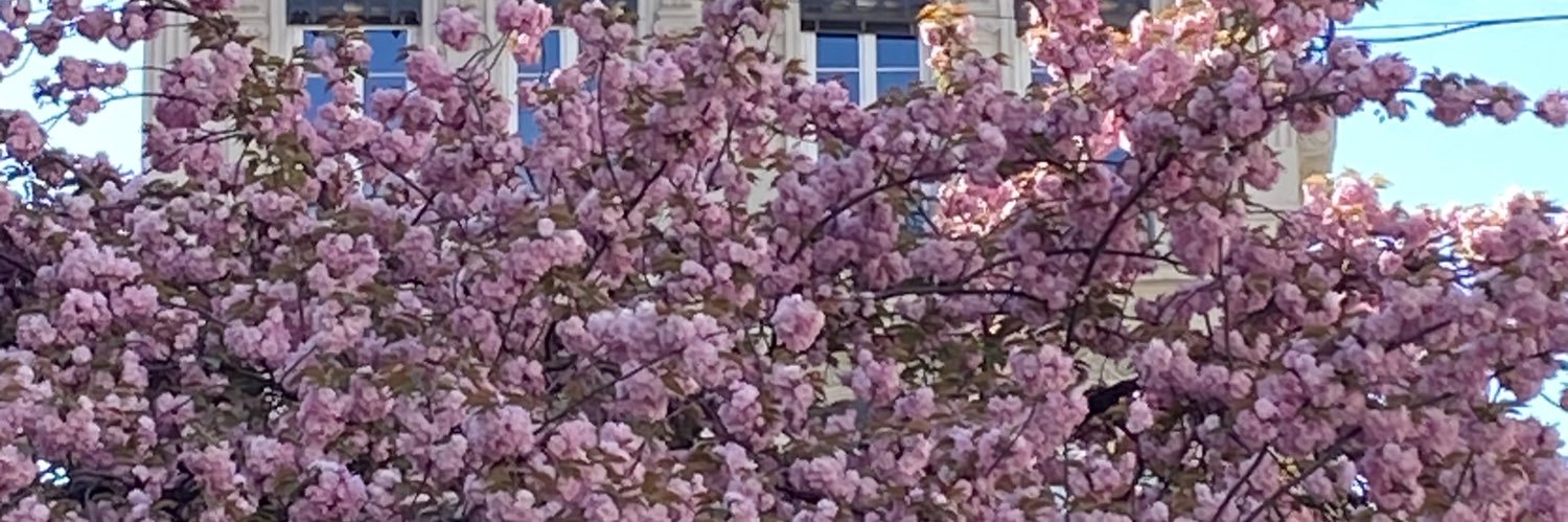 avuignier's profile banner image