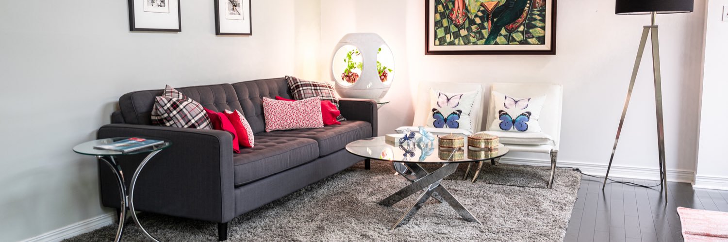 Georges Richard Hamoush banner