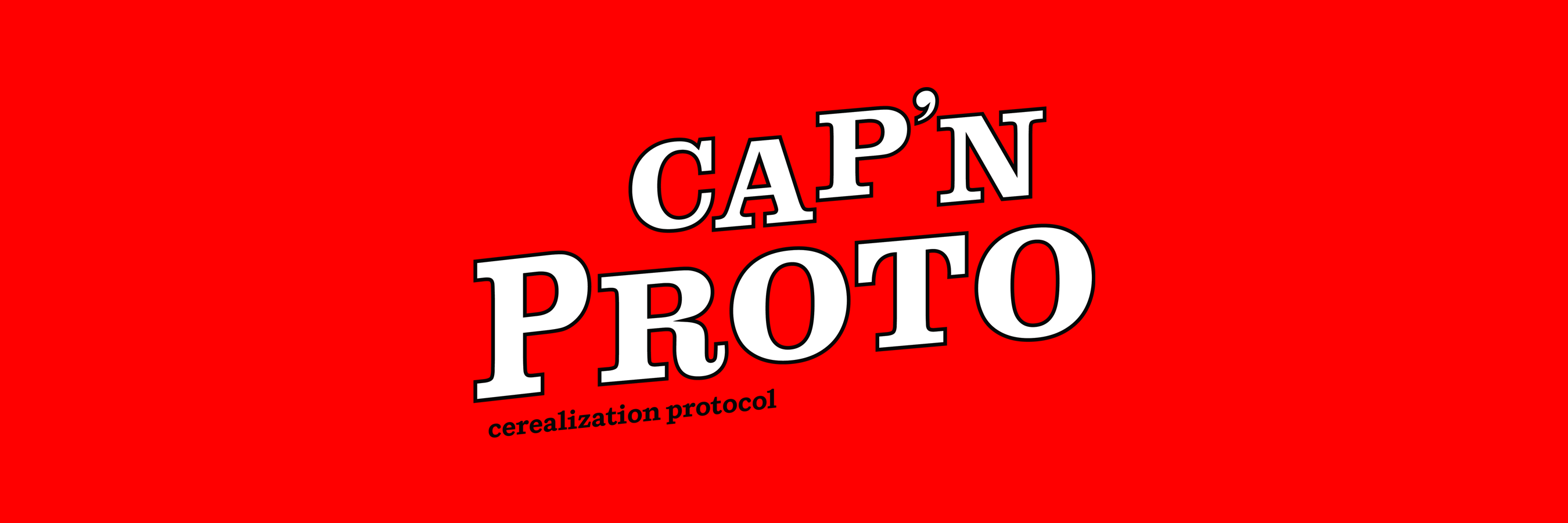 CapnProto's profile banner image