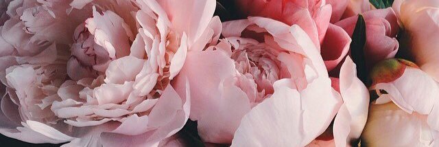 raineyskies's profile banner image