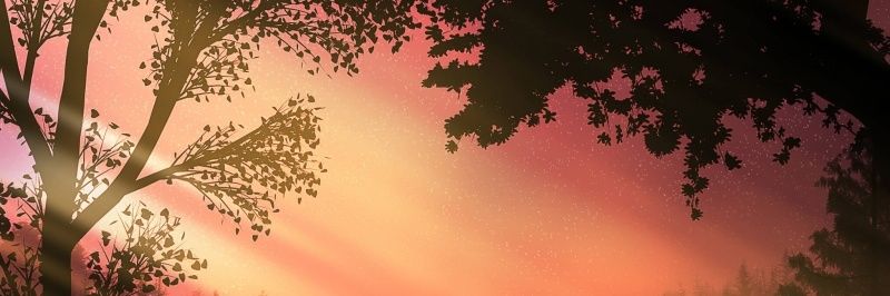 roydebolina66's profile banner image