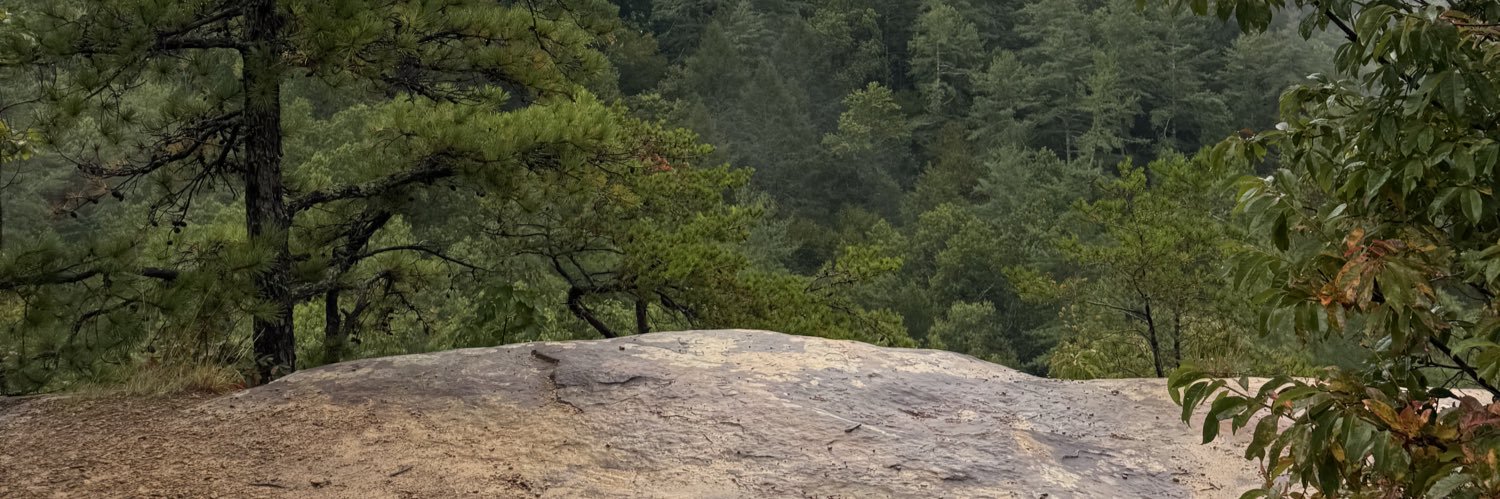 v00d00mon's profile banner image