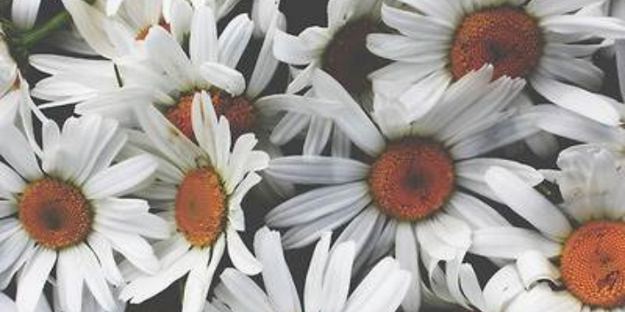 itsbeckkybiatch's profile banner image