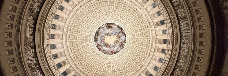 Rafaello J. Carone 🇺🇸 banner