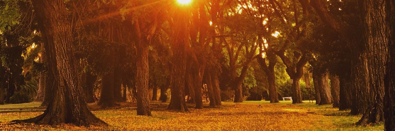 CULP_oficial's profile banner image