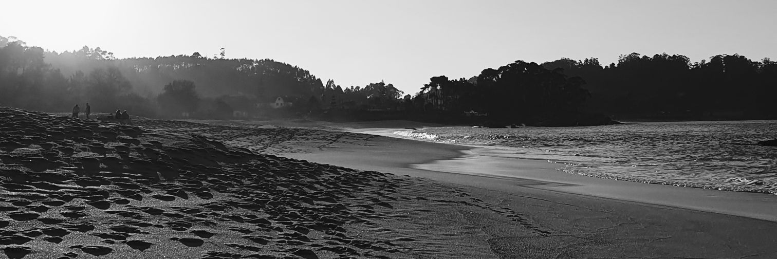 andrealeaal's profile banner image