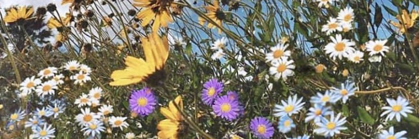 P_Brehm_7's profile banner image
