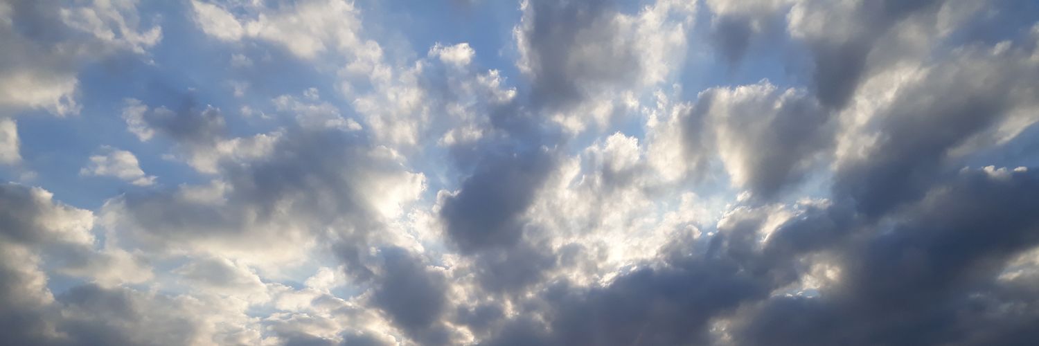 laura_petzer's profile banner image