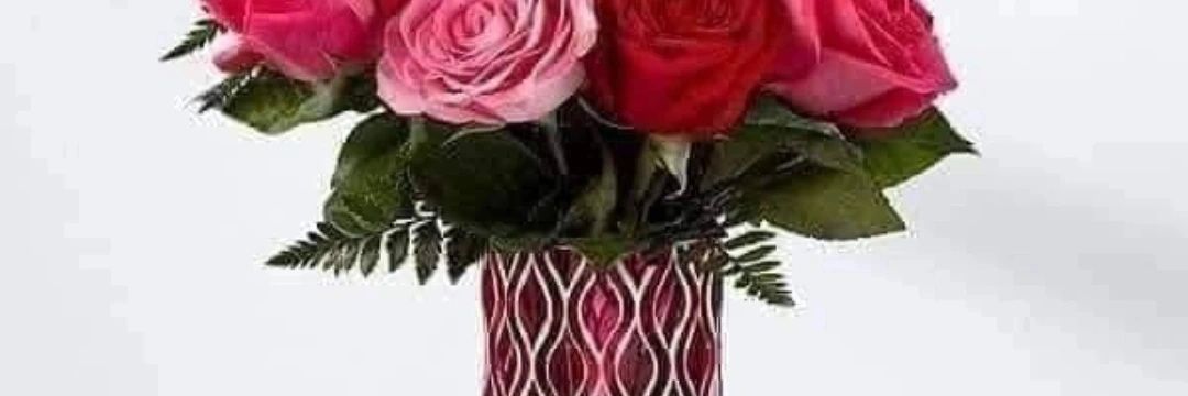 256255c72ffc47f's profile banner image