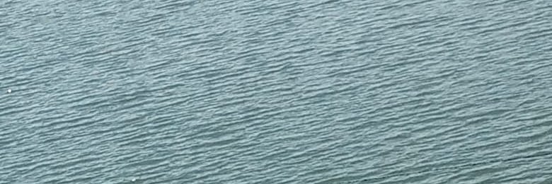 maiselamorulane's profile banner image