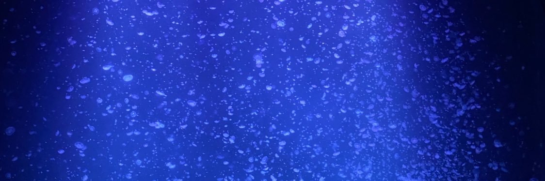 benchan022's profile banner image